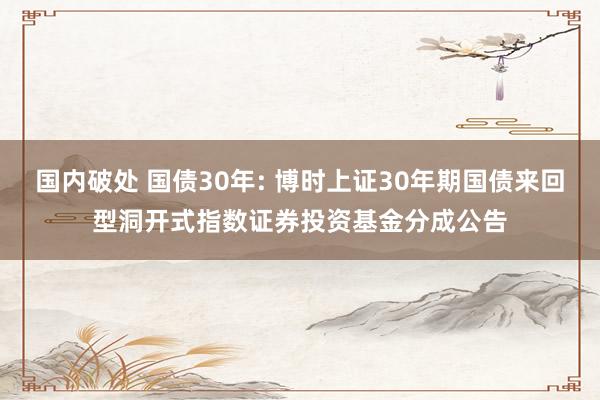 国内破处 国债30年: 博时上证30年期国债来回型洞开式指数证券投资基金分成公告