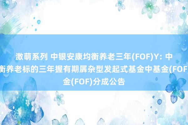 激萌系列 中银安康均衡养老三年(FOF)Y: 中银安康均衡养老标的三年握有期羼杂型发起式基金中基金(FOF)分成公告