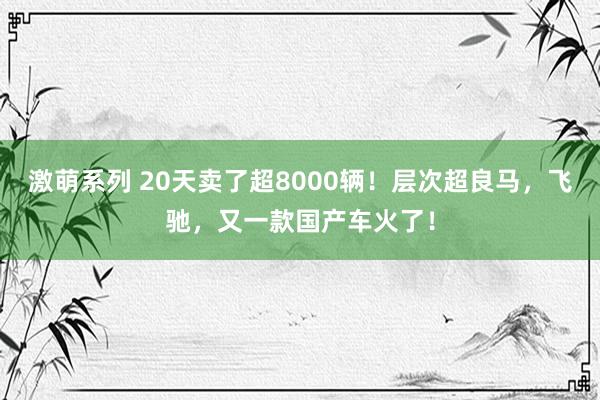 激萌系列 20天卖了超8000辆！层次超良马，飞驰，又一款国产车火了！