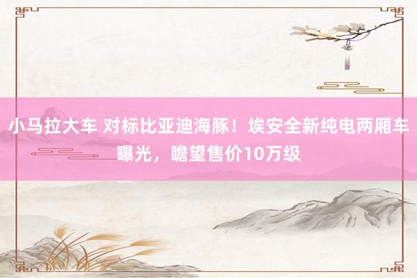 小马拉大车 对标比亚迪海豚！埃安全新纯电两厢车曝光，瞻望售价10万级