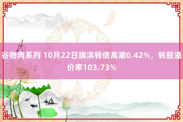 谷物肉系列 10月22日旗滨转债高潮0.42%，转股溢价率103.73%