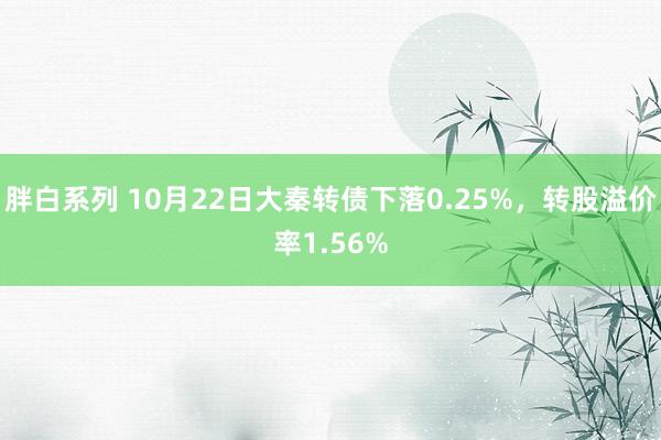 胖白系列 10月22日大秦转债下落0.25%，转股溢价率1.56%