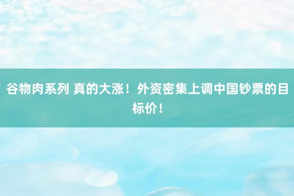 谷物肉系列 真的大涨！外资密集上调中国钞票的目标价！