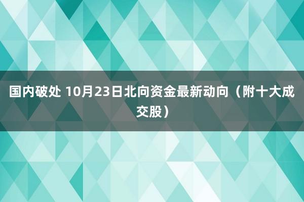 国内破处 10月23日北向资金最新动向（附十大成交股）