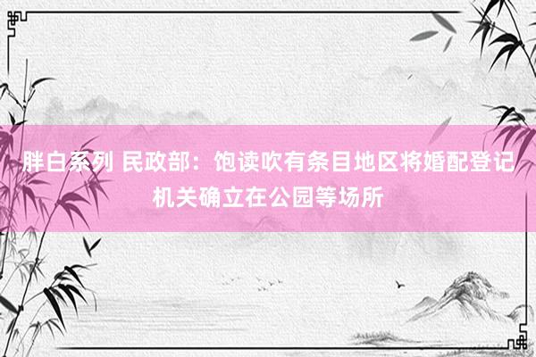 胖白系列 民政部：饱读吹有条目地区将婚配登记机关确立在公园等场所