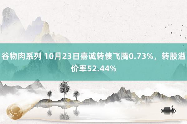 谷物肉系列 10月23日嘉诚转债飞腾0.73%，转股溢价率52.44%