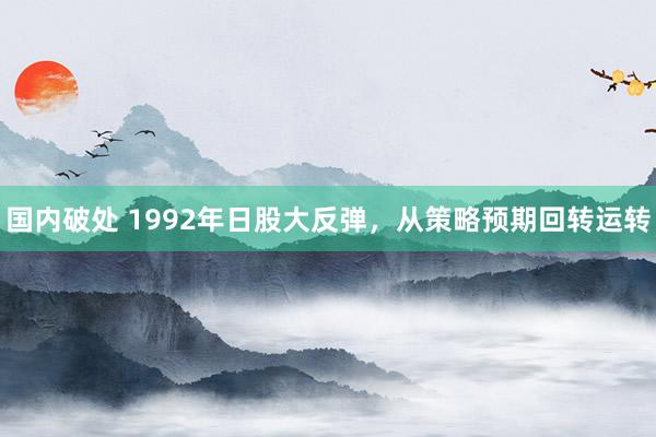 国内破处 1992年日股大反弹，从策略预期回转运转