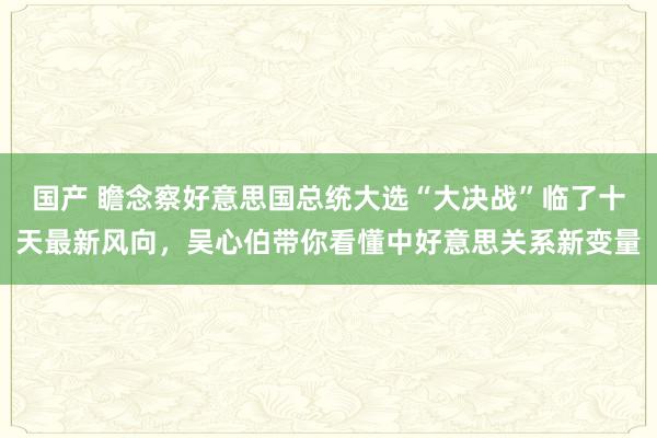 国产 瞻念察好意思国总统大选“大决战”临了十天最新风向，吴心伯带你看懂中好意思关系新变量