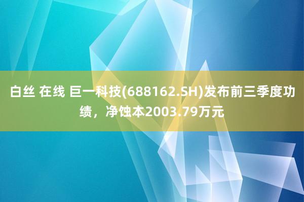 白丝 在线 巨一科技(688162.SH)发布前三季度功绩，净蚀本2003.79万元