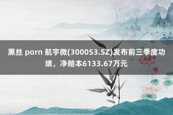 黑丝 porn 航宇微(300053.SZ)发布前三季度功绩，净赔本6133.67万元