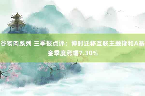 谷物肉系列 三季报点评：博时迁移互联主题搀和A基金季度涨幅7.30%