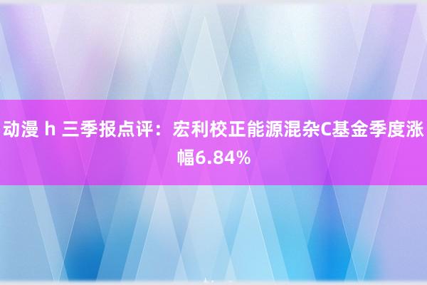 动漫 h 三季报点评：宏利校正能源混杂C基金季度涨幅6.84%