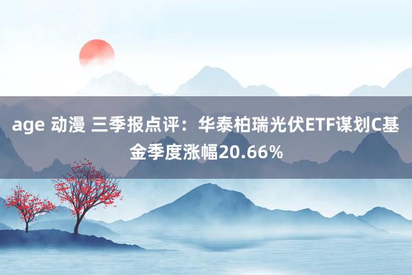 age 动漫 三季报点评：华泰柏瑞光伏ETF谋划C基金季度涨幅20.66%