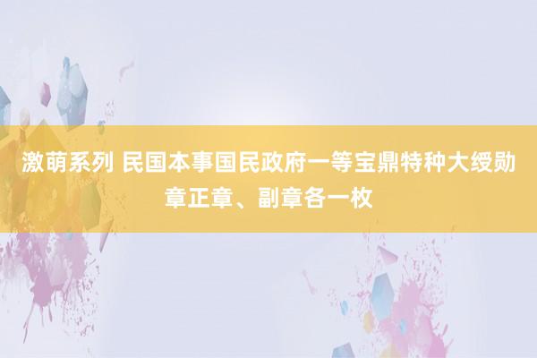 激萌系列 民国本事国民政府一等宝鼎特种大绶勋章正章、副章各一枚