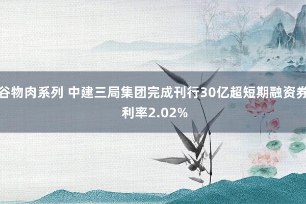 谷物肉系列 中建三局集团完成刊行30亿超短期融资券 利率2.02%