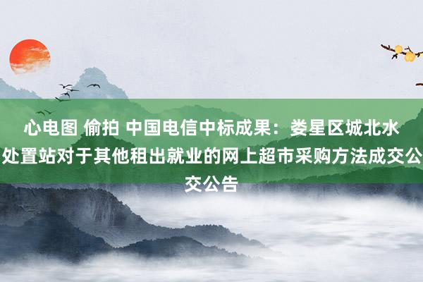 心电图 偷拍 中国电信中标成果：娄星区城北水利处置站对于其他租出就业的网上超市采购方法成交公告