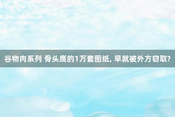 谷物肉系列 骨头鹰的1万套图纸， 早就被外方窃取?