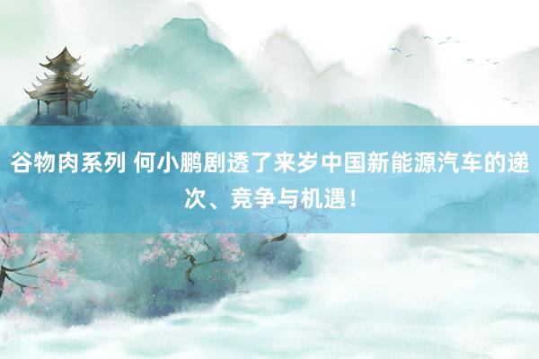 谷物肉系列 何小鹏剧透了来岁中国新能源汽车的递次、竞争与机遇！