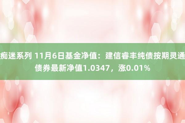 痴迷系列 11月6日基金净值：建信睿丰纯债按期灵通债券最新净值1.0347，涨0.01%