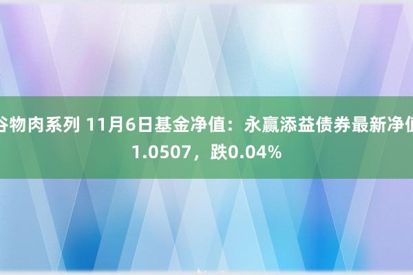 谷物肉系列 11月6日基金净值：永赢添益债券最新净值1.0507，跌0.04%