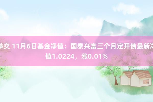 拳交 11月6日基金净值：国泰兴富三个月定开债最新净值1.0224，涨0.01%