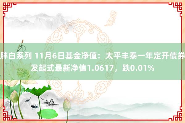 胖白系列 11月6日基金净值：太平丰泰一年定开债券发起式最新净值1.0617，跌0.01%