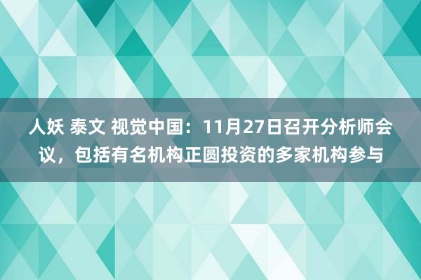 人妖 泰文 视觉中国：11月27日召开分析师会议，包括有名机构正圆投资的多家机构参与