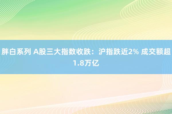 胖白系列 A股三大指数收跌：沪指跌近2% 成交额超1.8万亿