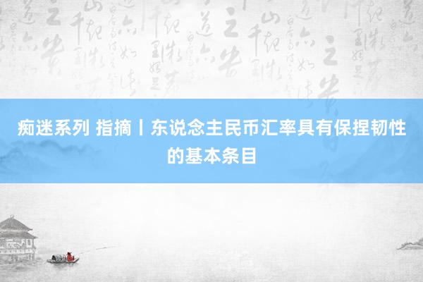 痴迷系列 指摘丨东说念主民币汇率具有保捏韧性的基本条目