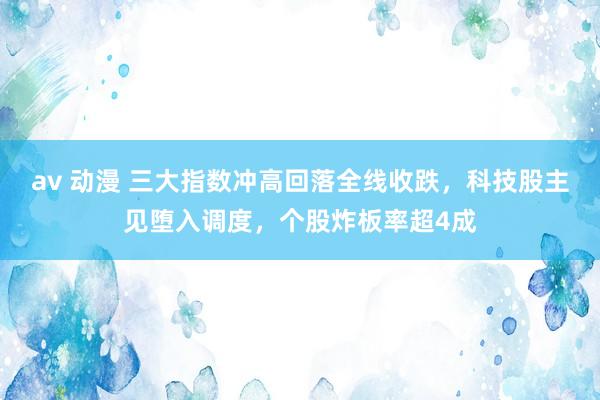 av 动漫 三大指数冲高回落全线收跌，科技股主见堕入调度，个股炸板率超4成