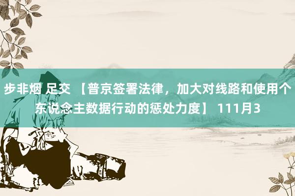 步非烟 足交 【普京签署法律，加大对线路和使用个东说念主数据行动的惩处力度】 111月3