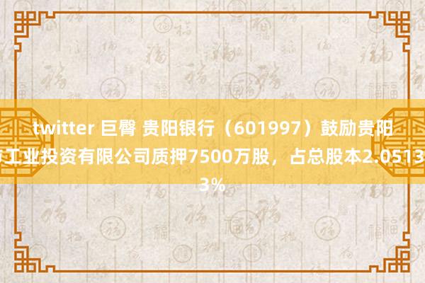 twitter 巨臀 贵阳银行（601997）鼓励贵阳市工业投资有限公司质押7500万股，占总股本2.0513%