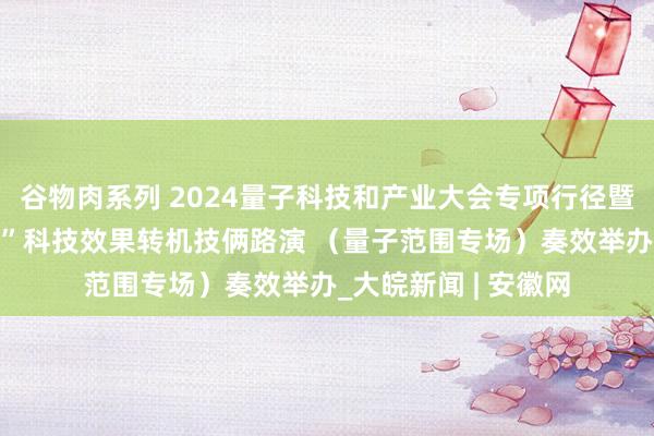 谷物肉系列 2024量子科技和产业大会专项行径暨“科里科气·科创荟”科技效果转机技俩路演 （量子范围专场）奏效举办_大皖新闻 | 安徽网