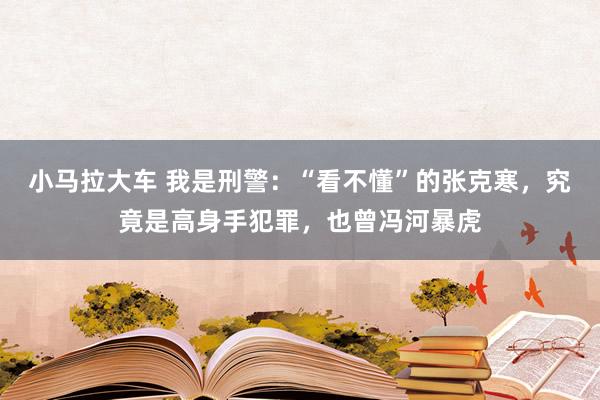 小马拉大车 我是刑警：“看不懂”的张克寒，究竟是高身手犯罪，也曾冯河暴虎