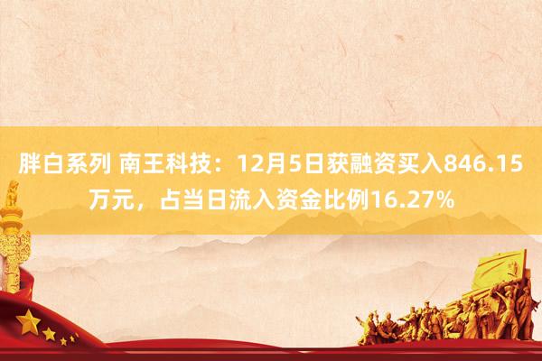 胖白系列 南王科技：12月5日获融资买入846.15万元，占当日流入资金比例16.27%