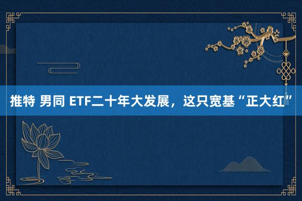 推特 男同 ETF二十年大发展，这只宽基“正大红”