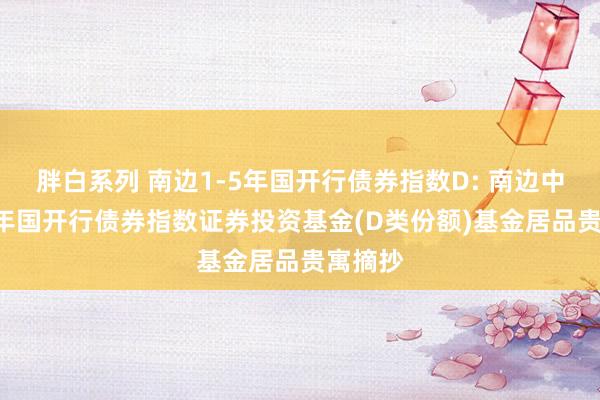 胖白系列 南边1-5年国开行债券指数D: 南边中债1-5年国开行债券指数证券投资基金(D类份额)基金居品贵寓摘抄