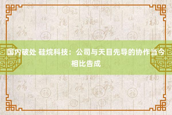 国内破处 硅烷科技：公司与天目先导的协作当今相比告成