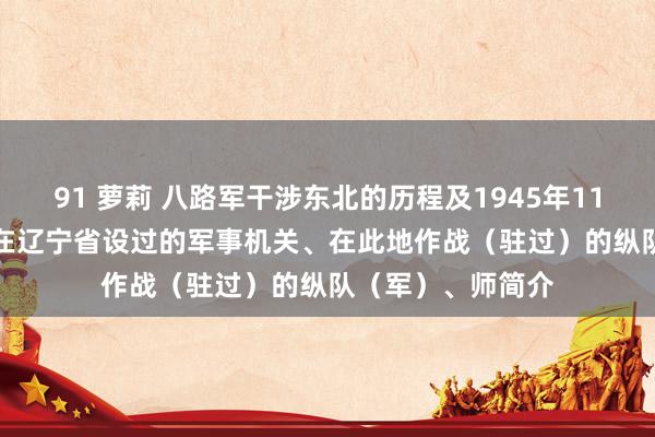 91 萝莉 八路军干涉东北的历程及1945年11月至1949年4月在辽宁省设过的军事机关、在此地作战（驻过）的纵队（军）、师简介