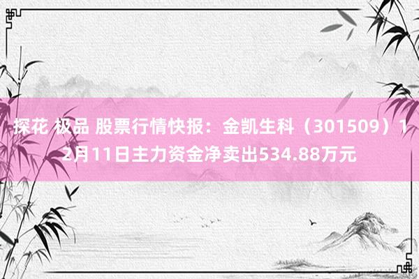 探花 极品 股票行情快报：金凯生科（301509）12月11日主力资金净卖出534.88万元