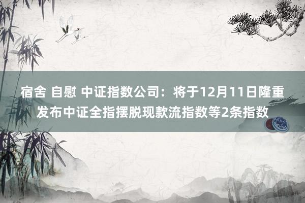 宿舍 自慰 中证指数公司：将于12月11日隆重发布中证全指摆脱现款流指数等2条指数