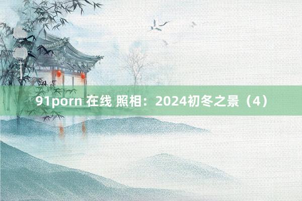 91porn 在线 照相：2024初冬之景（4）