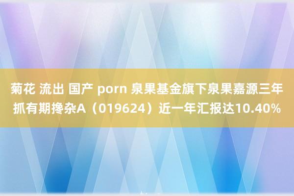 菊花 流出 国产 porn 泉果基金旗下泉果嘉源三年抓有期搀杂A（019624）近一年汇报达10.40%