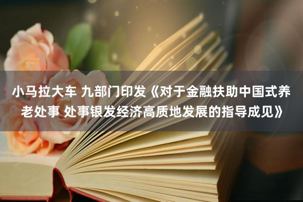 小马拉大车 九部门印发《对于金融扶助中国式养老处事 处事银发经济高质地发展的指导成见》