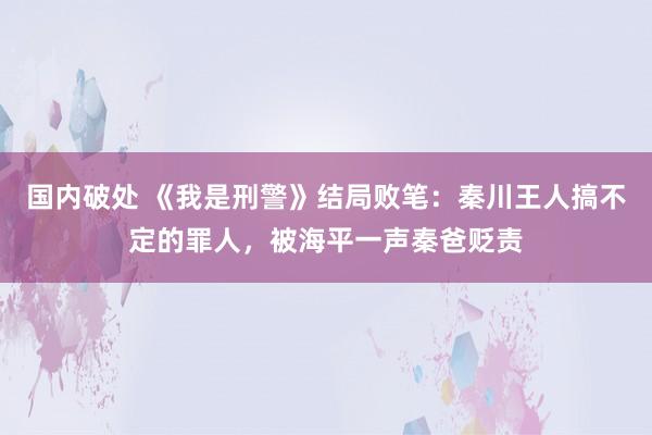 国内破处 《我是刑警》结局败笔：秦川王人搞不定的罪人，被海平一声秦爸贬责