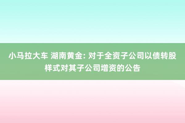 小马拉大车 湖南黄金: 对于全资子公司以债转股样式对其子公司增资的公告