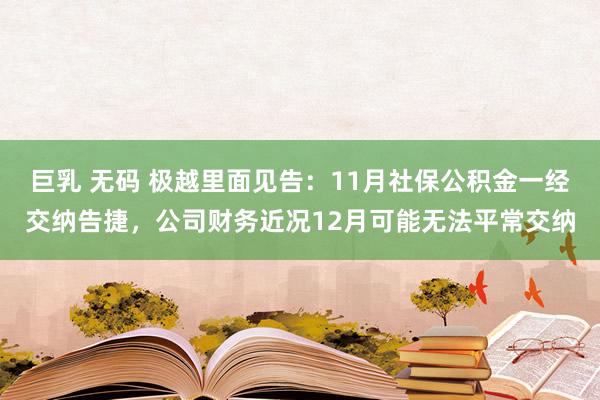 巨乳 无码 极越里面见告：11月社保公积金一经交纳告捷，公司财务近况12月可能无法平常交纳