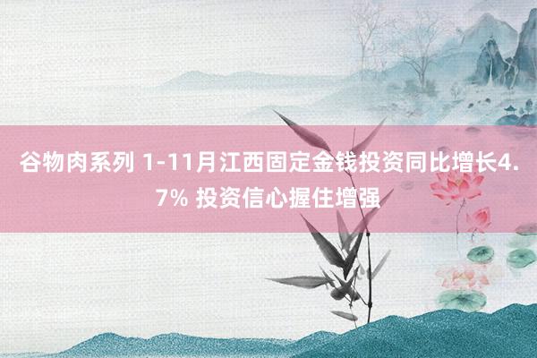 谷物肉系列 1-11月江西固定金钱投资同比增长4.7% 投资信心握住增强