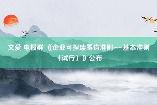 文爱 电报群 《企业可捏续露馅准则——基本准则（试行）》公布