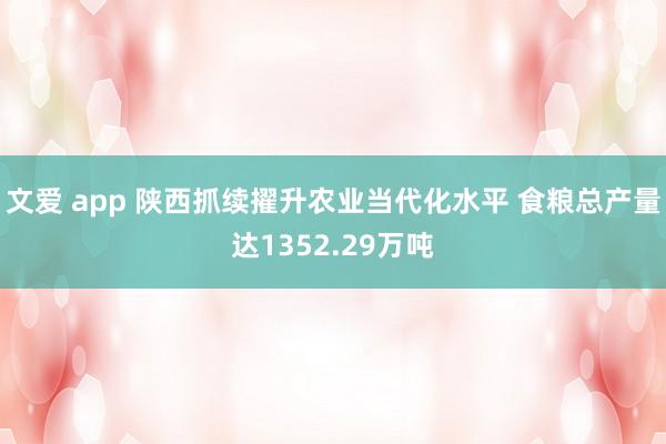 文爱 app 陕西抓续擢升农业当代化水平 食粮总产量达1352.29万吨